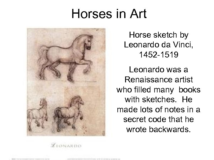 Horses in Art Horse sketch by Leonardo da Vinci, 1452 -1519 Leonardo was a