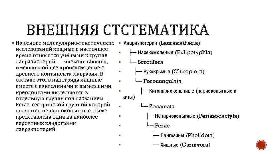 § На основе молекулярно-генетических § Лавразиотерии (Laurasiatheria) исследований хищные в настоящее время относятся учёными
