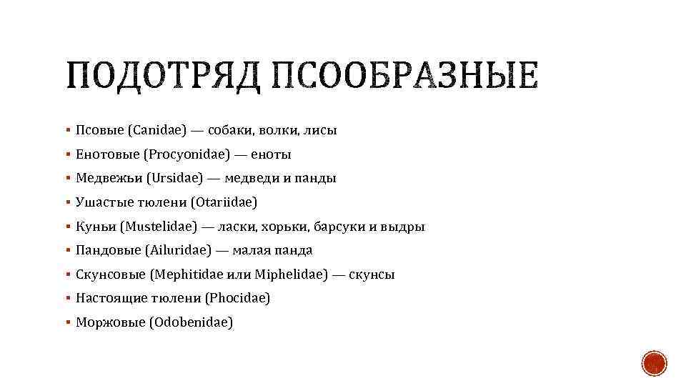 § Псовые (Canidae) — собаки, волки, лисы § Енотовые (Procyonidae) — еноты § Медвежьи