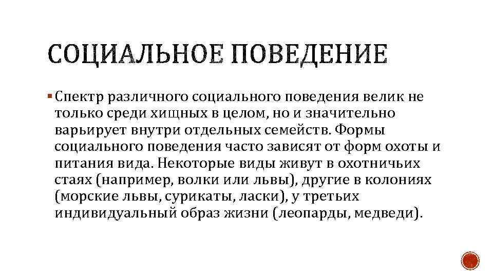 § Спектр различного социального поведения велик не только среди хищных в целом, но и