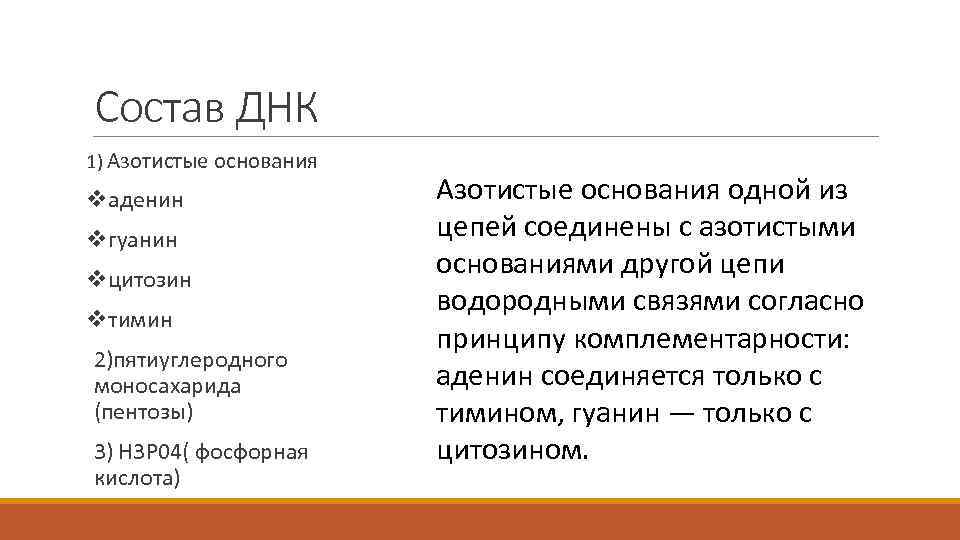 Состав ДНК 1) Азотистые основания vаденин vгуанин vцитозин vтимин 2)пятиуглеродного моносахарида (пентозы) 3) Н