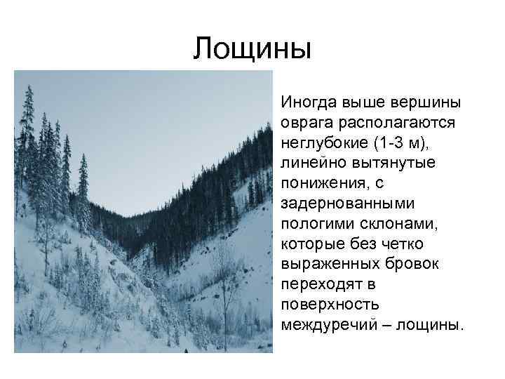 Лощины • Иногда выше вершины оврага располагаются неглубокие (1 -3 м), линейно вытянутые понижения,