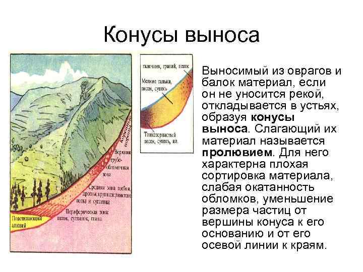 Конусы выноса • Выносимый из оврагов и балок материал, если он не уносится рекой,