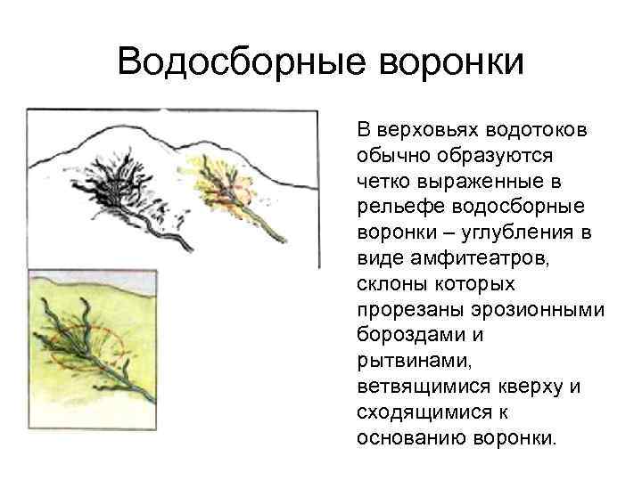 Водосборные воронки В верховьях водотоков обычно образуются четко выраженные в рельефе водосборные воронки –