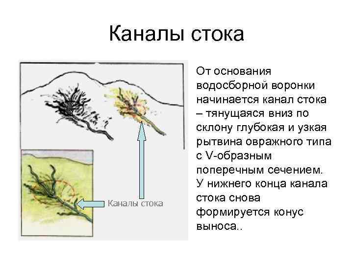 Каналы стока • От основания водосборной воронки начинается канал стока – тянущаяся вниз по