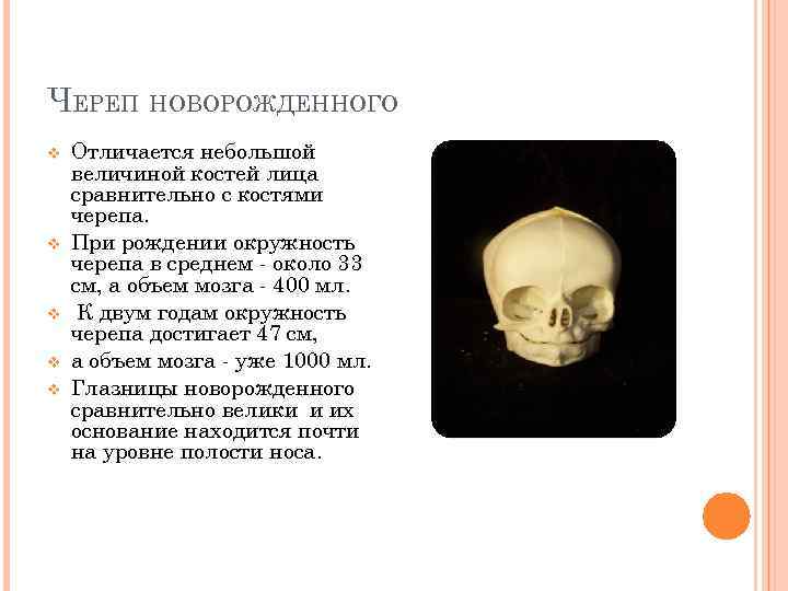 ЧЕРЕП НОВОРОЖДЕННОГО v v v Отличается небольшой величиной костей лица сравнительно с костями черепа.