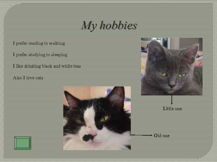 My hobbies I prefer reading to walking I prefer studying to sleeping I like