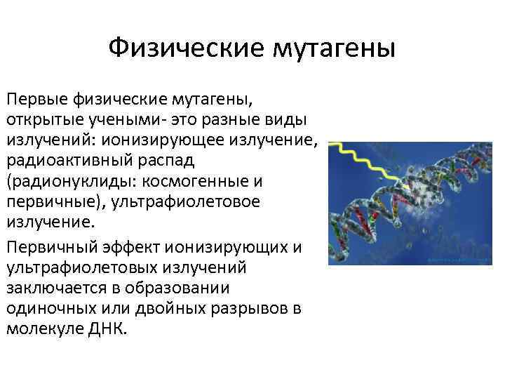 Физические мутагены Первые физические мутагены, открытые учеными- это разные виды излучений: ионизирующее излучение, радиоактивный