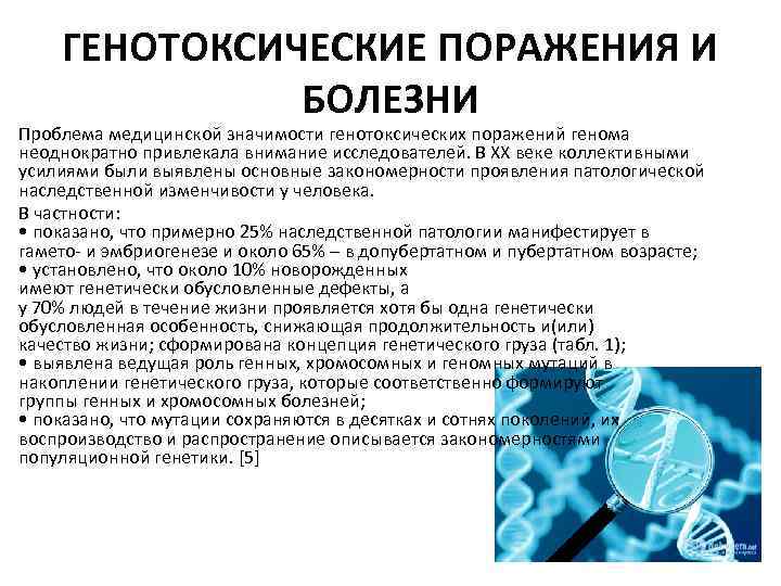 ГЕНОТОКСИЧЕСКИЕ ПОРАЖЕНИЯ И БОЛЕЗНИ Проблема медицинской значимости генотоксических поражений генома неоднократно привлекала внимание исследователей.