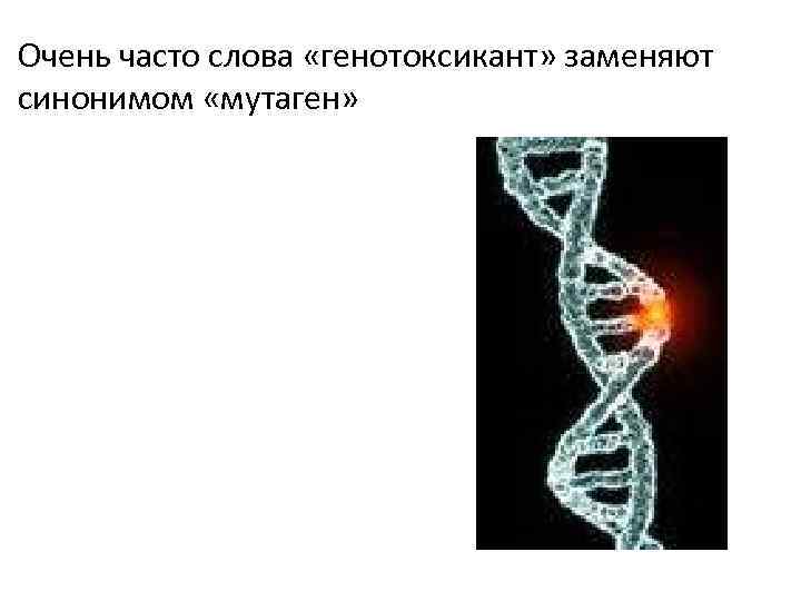 Очень часто слова «генотоксикант» заменяют синонимом «мутаген» 
