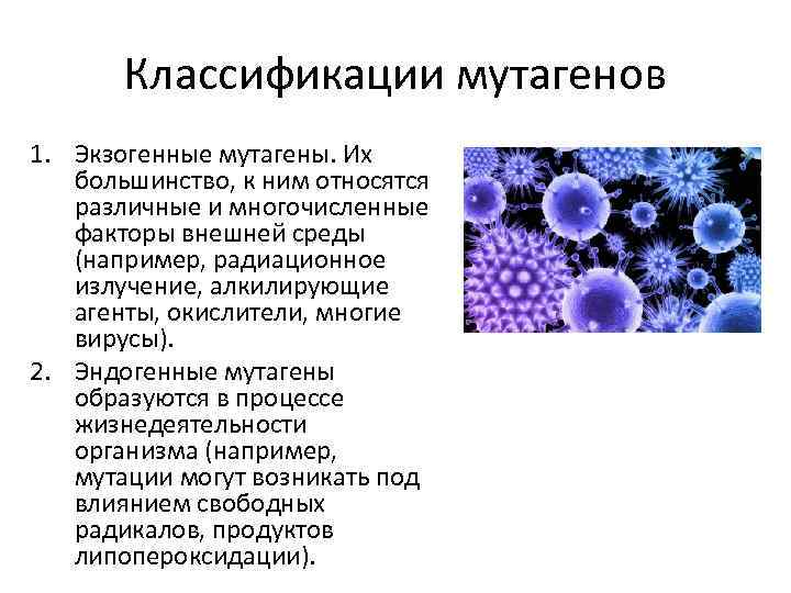 Влияние мутагенов на организм человека презентация