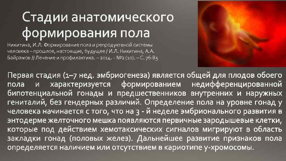 Никитина, И. Л. Формирование пола и репродуктвной системы человека – прошлое, настоящие, будущее /