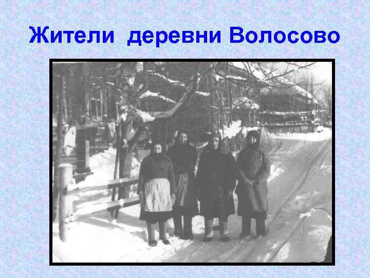 Жители деревни Волосово 