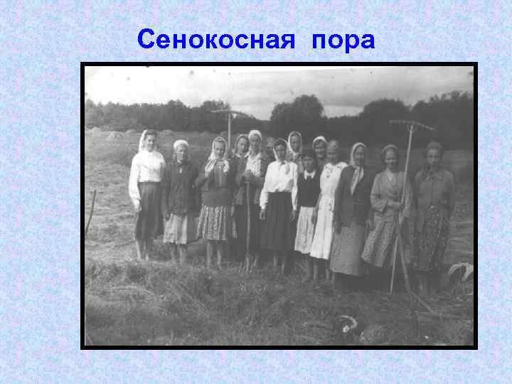 Сенокосная пора 