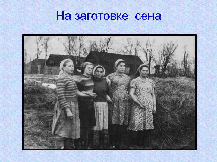 На заготовке сена 