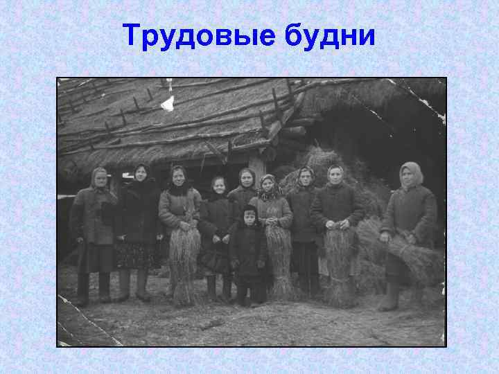 Трудовые будни 