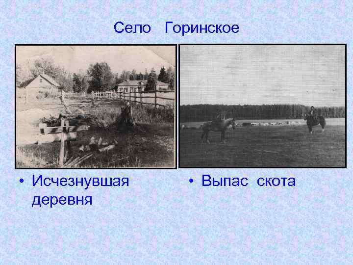Село Горинское • Исчезнувшая деревня • Выпас скота 