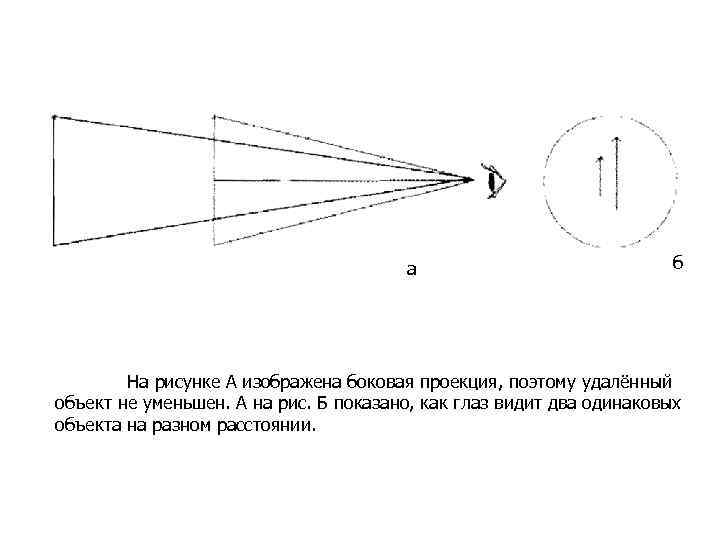 а б На рисунке А изображена боковая проекция, поэтому удалённый объект не уменьшен. А