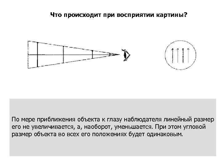 Видимые угловые размеры. Угловой размер объекта. При приближении предмета к глазу. Угловой размер в оптике это. Радиус кривизны глаза.