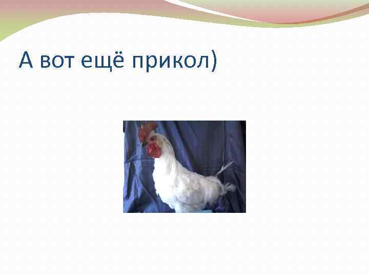 А вот ещё прикол) 