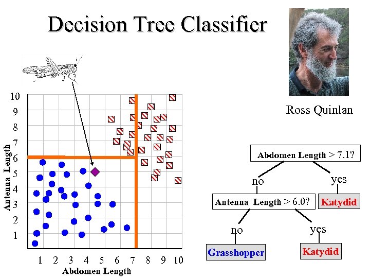 Decision Tree Classifier Antenna Length 10 Ross Quinlan 9 8 7 6 5 4