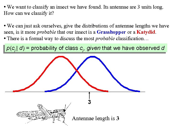  • We want to classify an insect we have found. Its antennae are