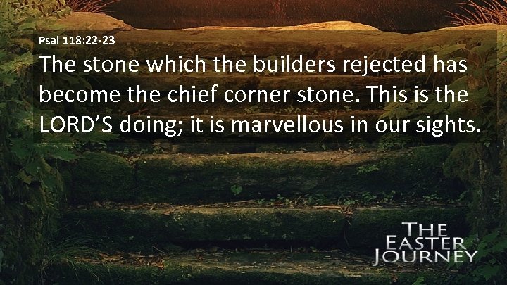 Psal 118: 22 -23 The stone which the builders rejected has become the chief
