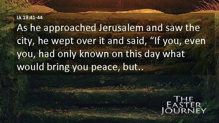 Lk 19: 41 -44 As he approached Jerusalem and saw the city, he wept