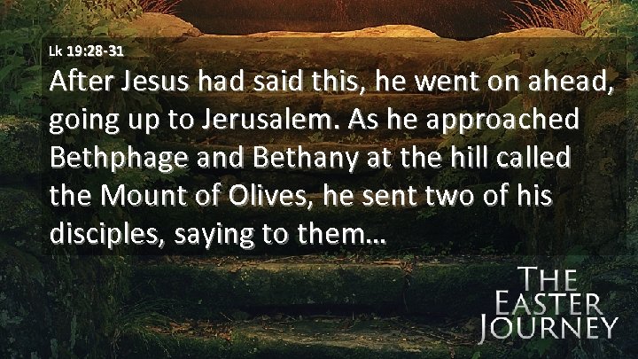 Lk 19: 28 -31 After Jesus had said this, he went on ahead, going