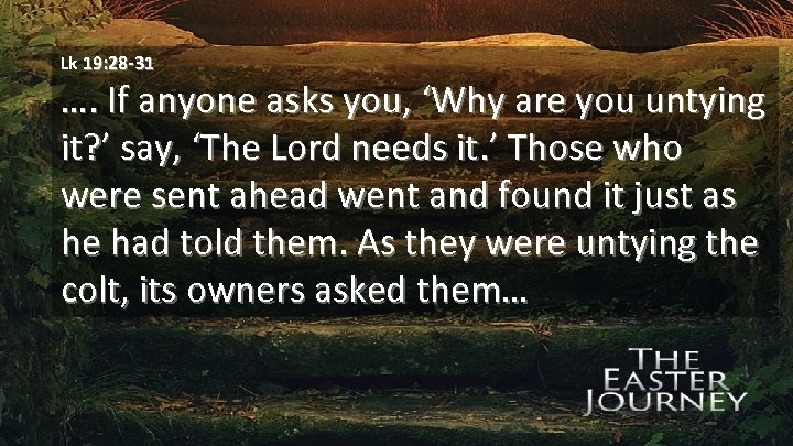 Lk 19: 28 -31 …. If anyone asks you, ‘Why are you untying it?