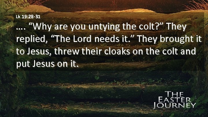 Lk 19: 28 -31 …. “Why are you untying the colt? ” They replied,