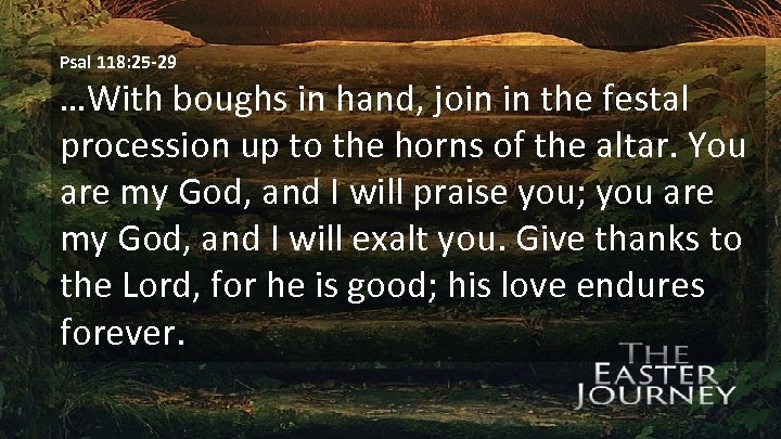Psal 118: 25 -29 …With boughs in hand, join in the festal procession up