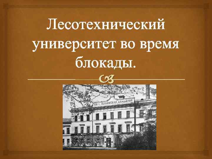 Лесотехнический университет во время блокады. 