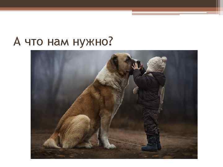А что нам нужно? 