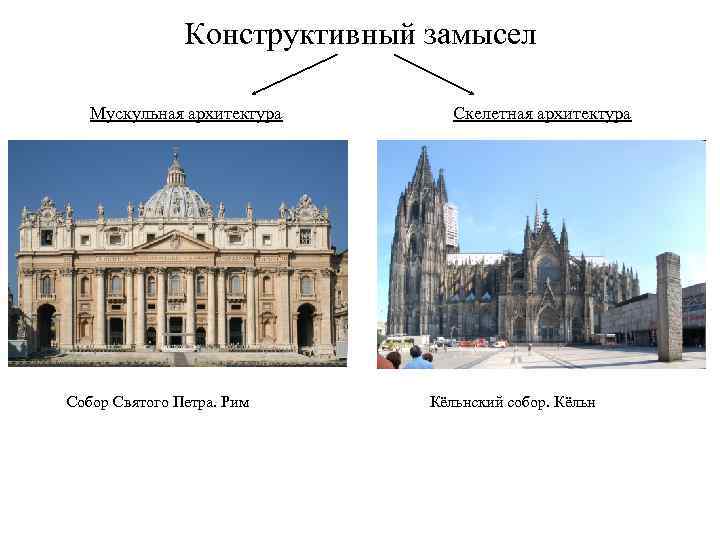 Конструктивный замысел Мускульная архитектура Скелетная архитектура Собор Святого Петра. Рим Кёльнский собор. Кёльн 