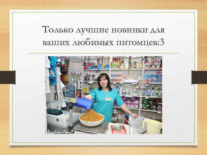 Только лучшие новинки для ваших любимых питомцев: 3 