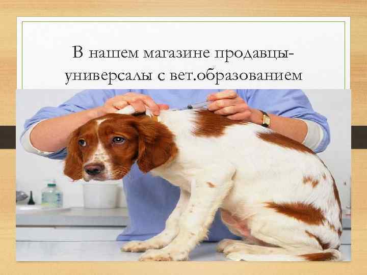 В нашем магазине продавцыуниверсалы с вет. образованием 