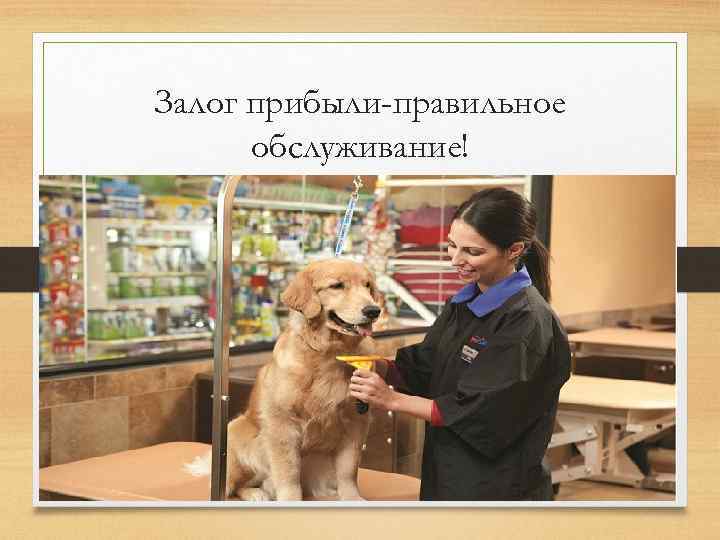 Залог прибыли-правильное обслуживание! 