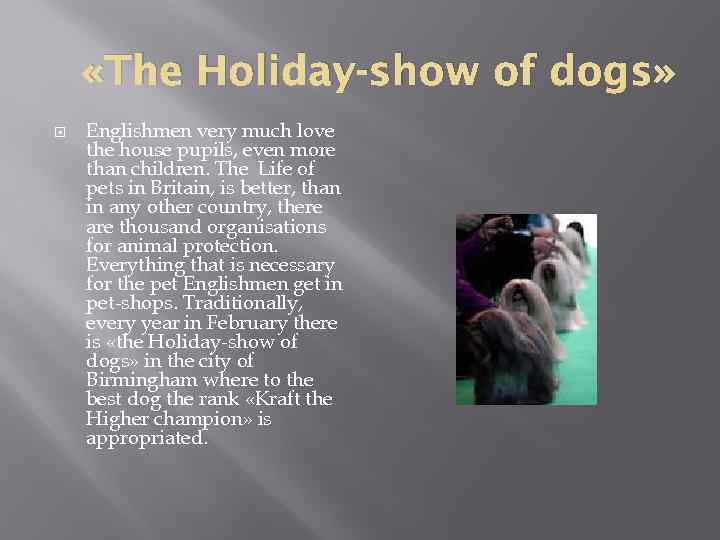  «The Holiday-show of dogs» Englishmen very much love the house pupils, even more