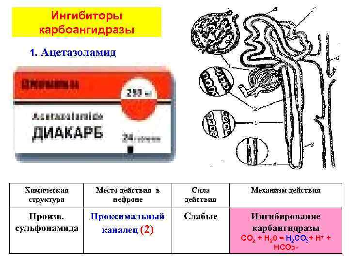 Ингибиторы карбоангидразы 1. Ацетазоламид Химическая структура Место действия в нефроне Сила действия Механизм действия