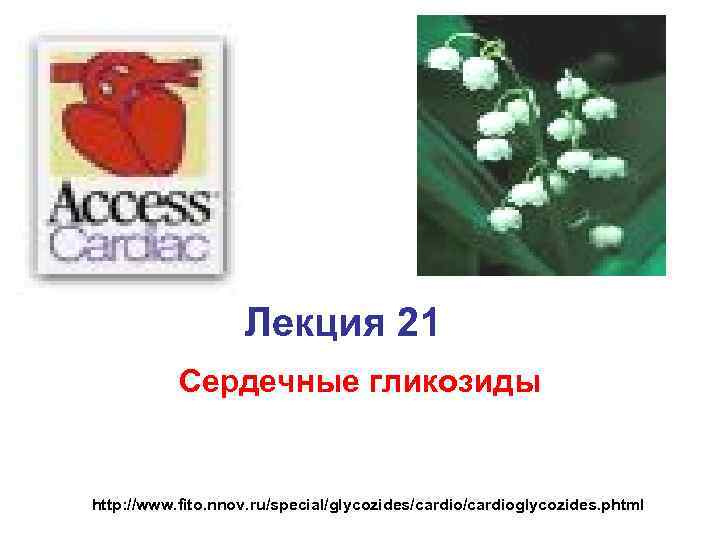 Лекция 21 Сердечные гликозиды http: //www. fito. nnov. ru/special/glycozides/cardioglycozides. phtml 