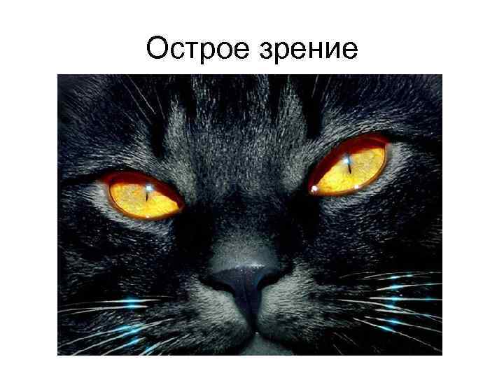Острое зрение 