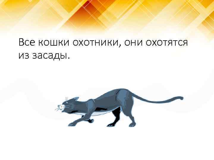 Все кошки охотники, они охотятся из засады. 