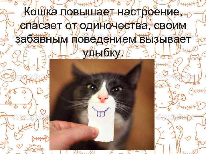Кошка повышает настроение, спасает от одиночества, своим забавным поведением вызывает улыбку. 