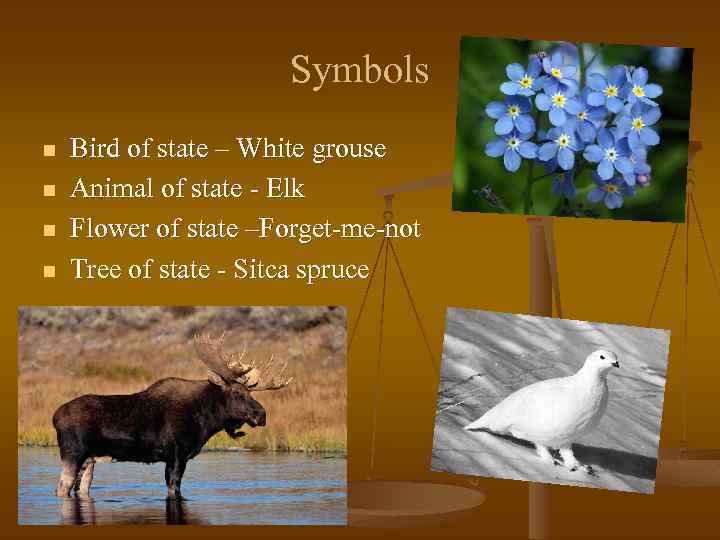 Symbols n n Bird of state – White grouse Animal of state - Elk