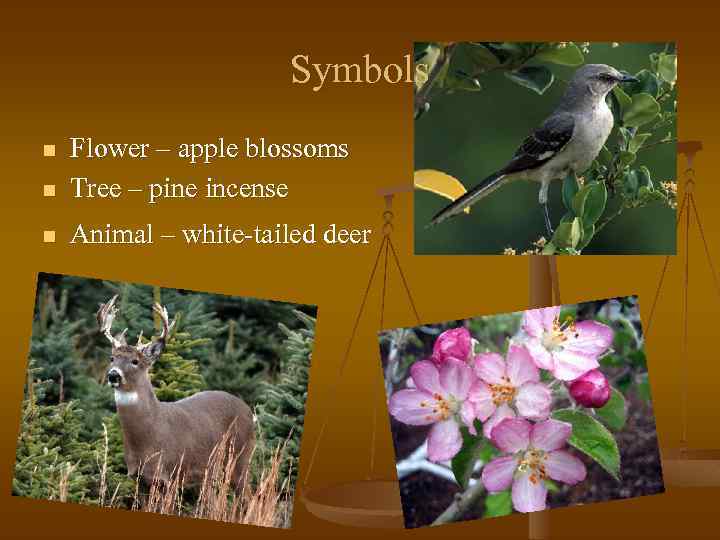 Symbols n Flower – apple blossoms Tree – pine incense n Animal – white-tailed