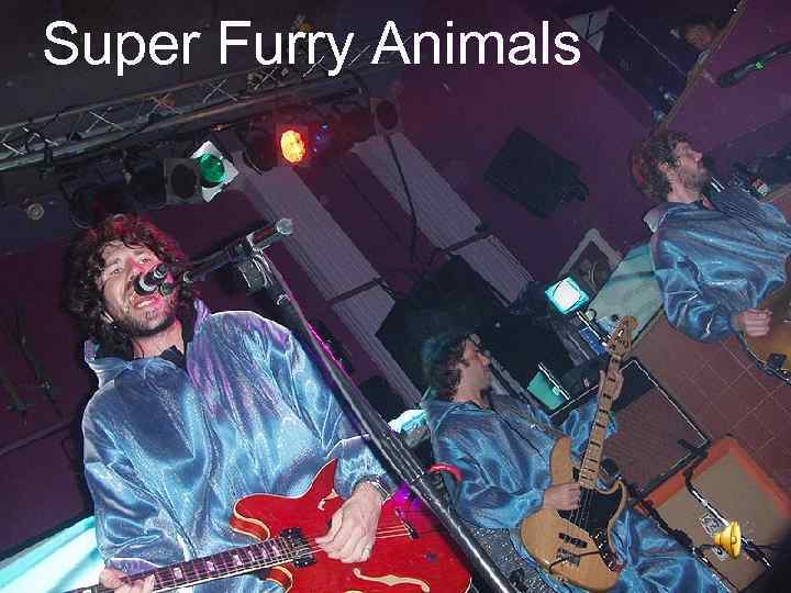 Super Furry Animals 