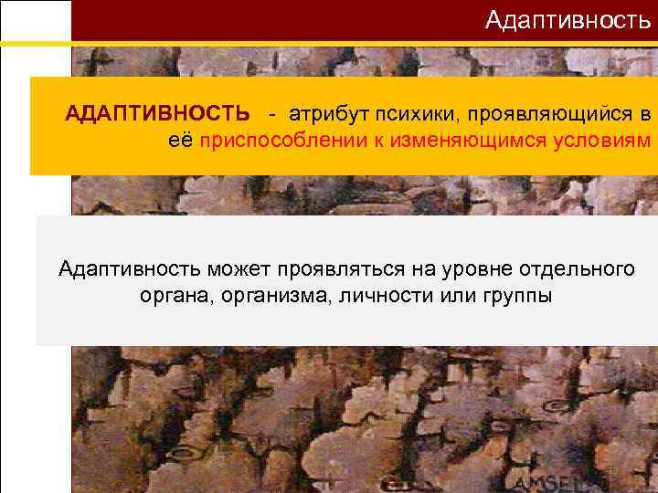 Адаптивность АДАПТИВНОСТЬ - атрибут психики, проявляющийся в её приспособлении к изменяющимся условиям Адаптивность может