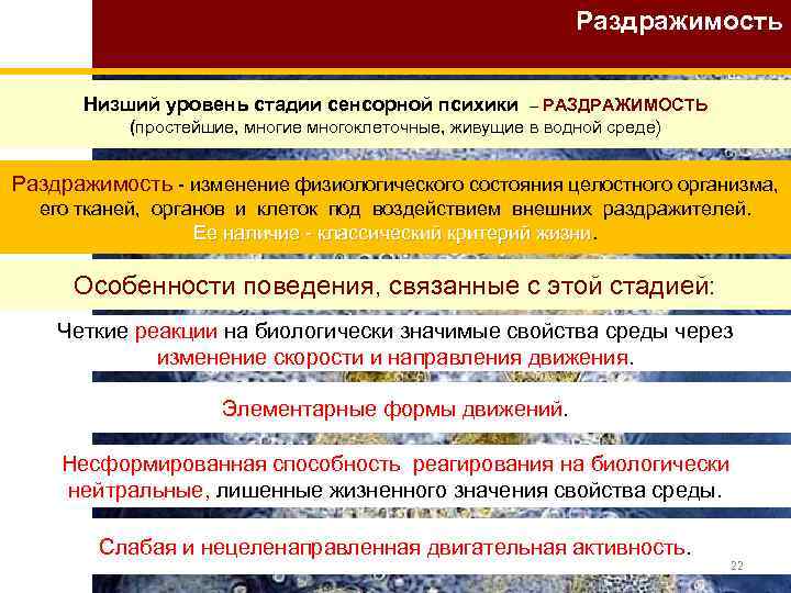 Раздражимость Низший уровень стадии сенсорной психики – РАЗДРАЖИМОСТЬ (простейшие, многие многоклеточные, живущие в водной