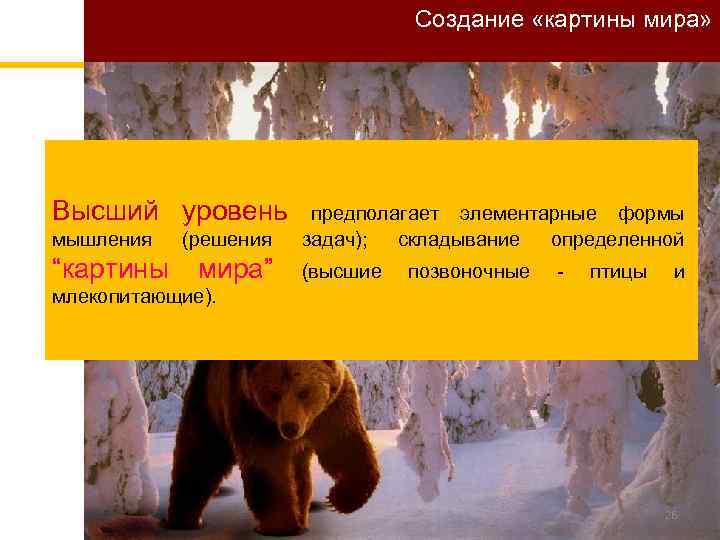 Создание «картины мира» Высший уровень мышления (решения “картины мира” предполагает элементарные формы задач); складывание